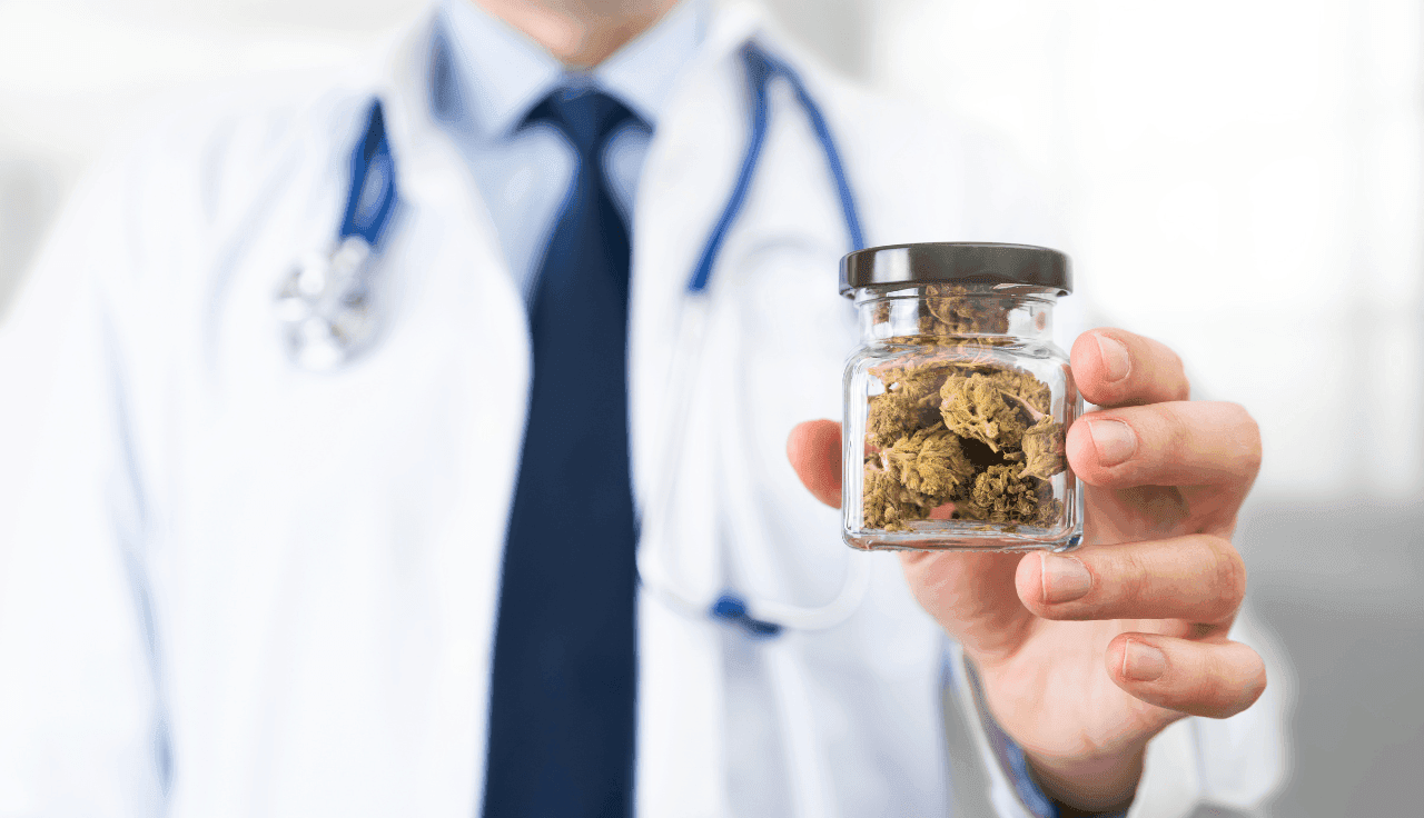 Arzt hält Glas mit Cannabis Blüten