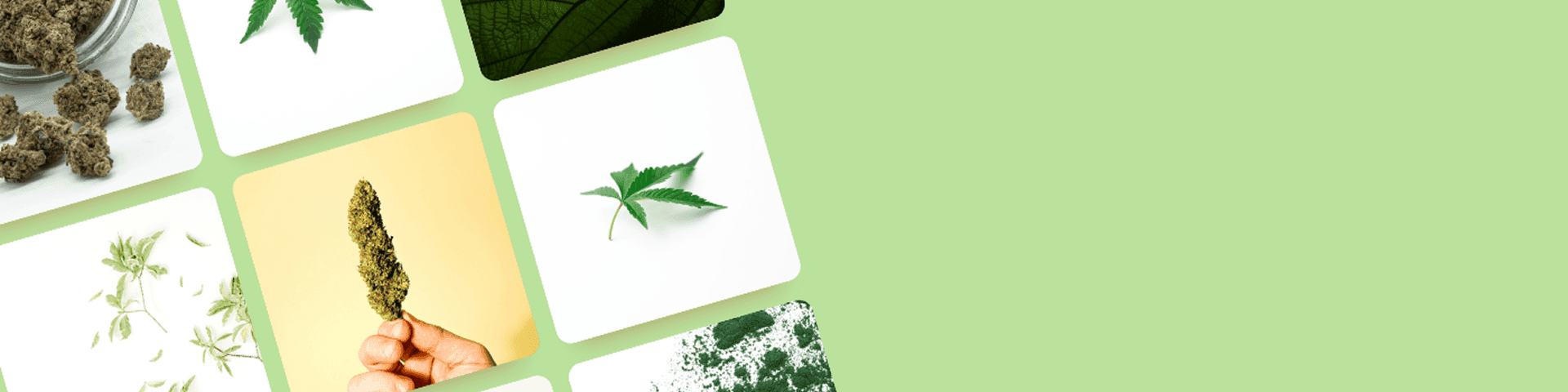kleine quadratische Bilder von Cannabis auf grünem Hintergrund